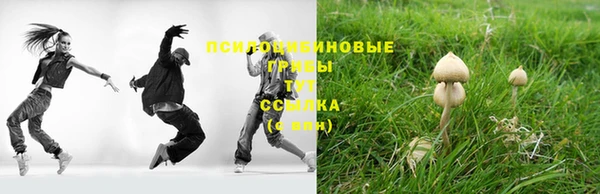 скорость Новозыбков