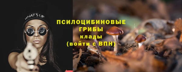 скорость Новозыбков