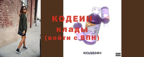 скорость Новозыбков