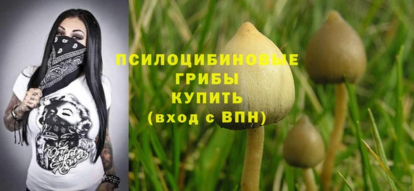 мефедрон Новодвинск