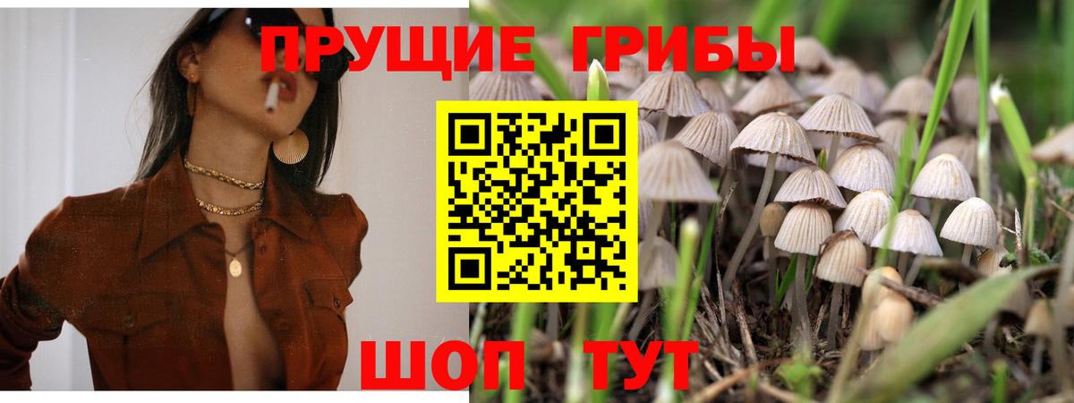 Псилоцибиновые грибы мухоморы Сокол
